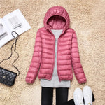 Leder rosa